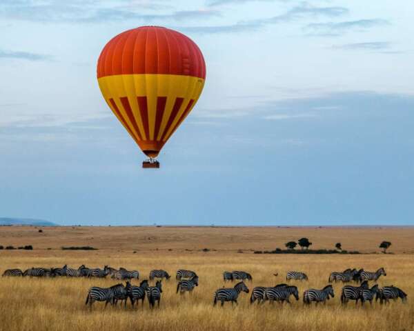 Red hot air balloon with zebras as honeymoon surprise